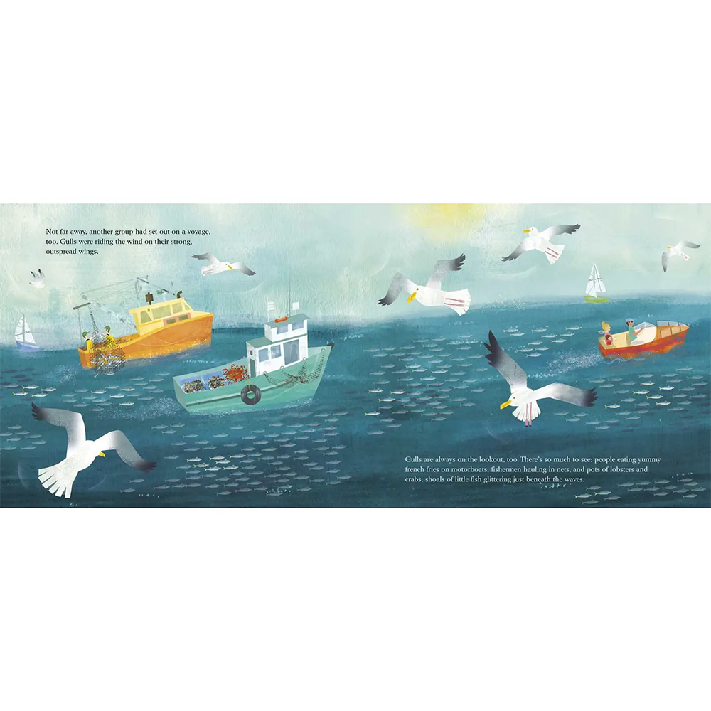 Seagull and the Sea Captain Hardcover Book