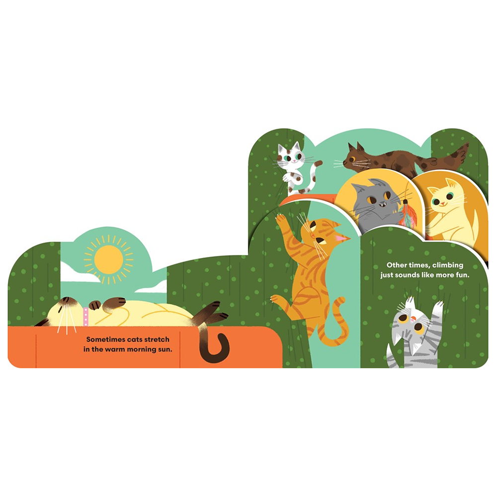 Some Cats Board Book