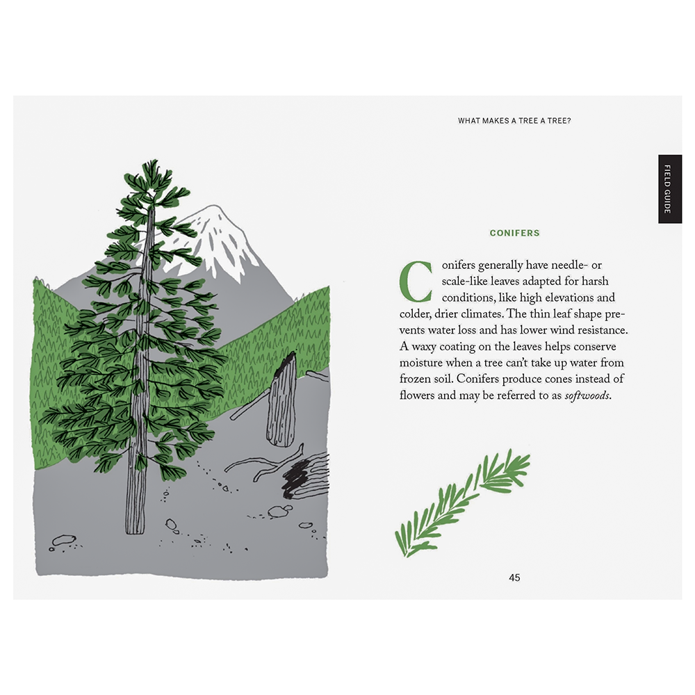 Pocket Nature Series: Tree Hugging