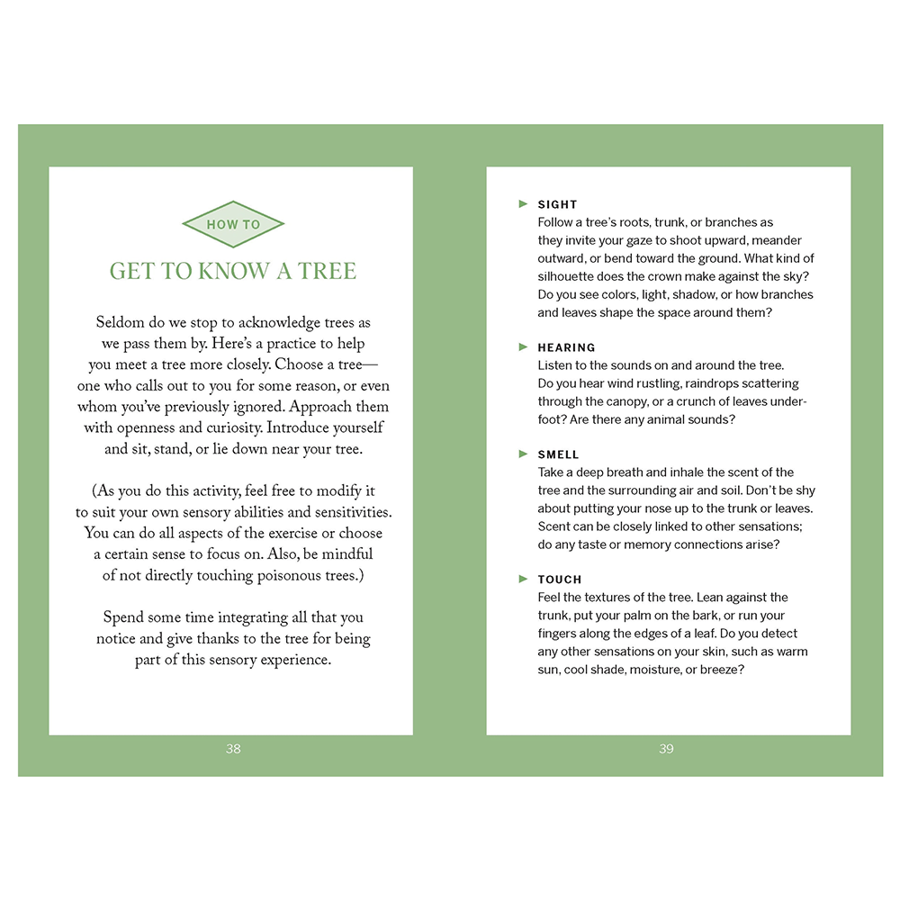 Pocket Nature Series: Tree Hugging