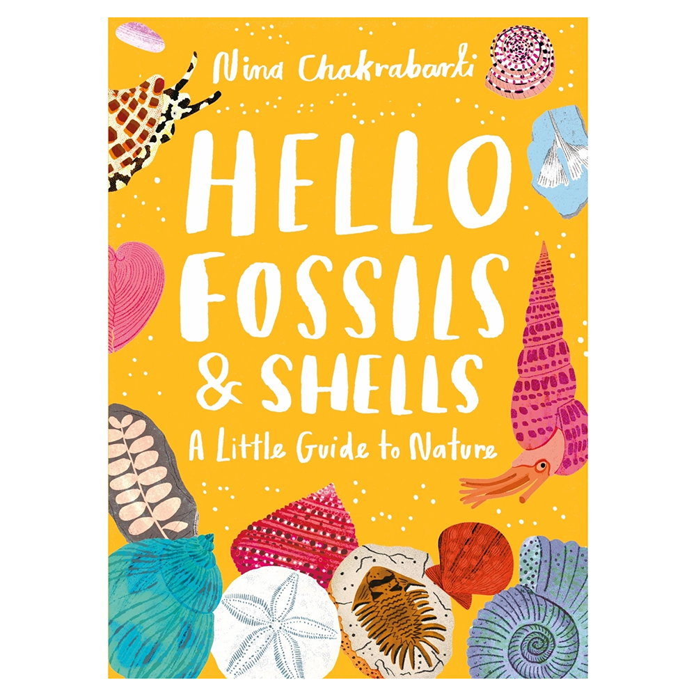 Little Guides To Nature: Hello Fossils and Shells Hardcover Book