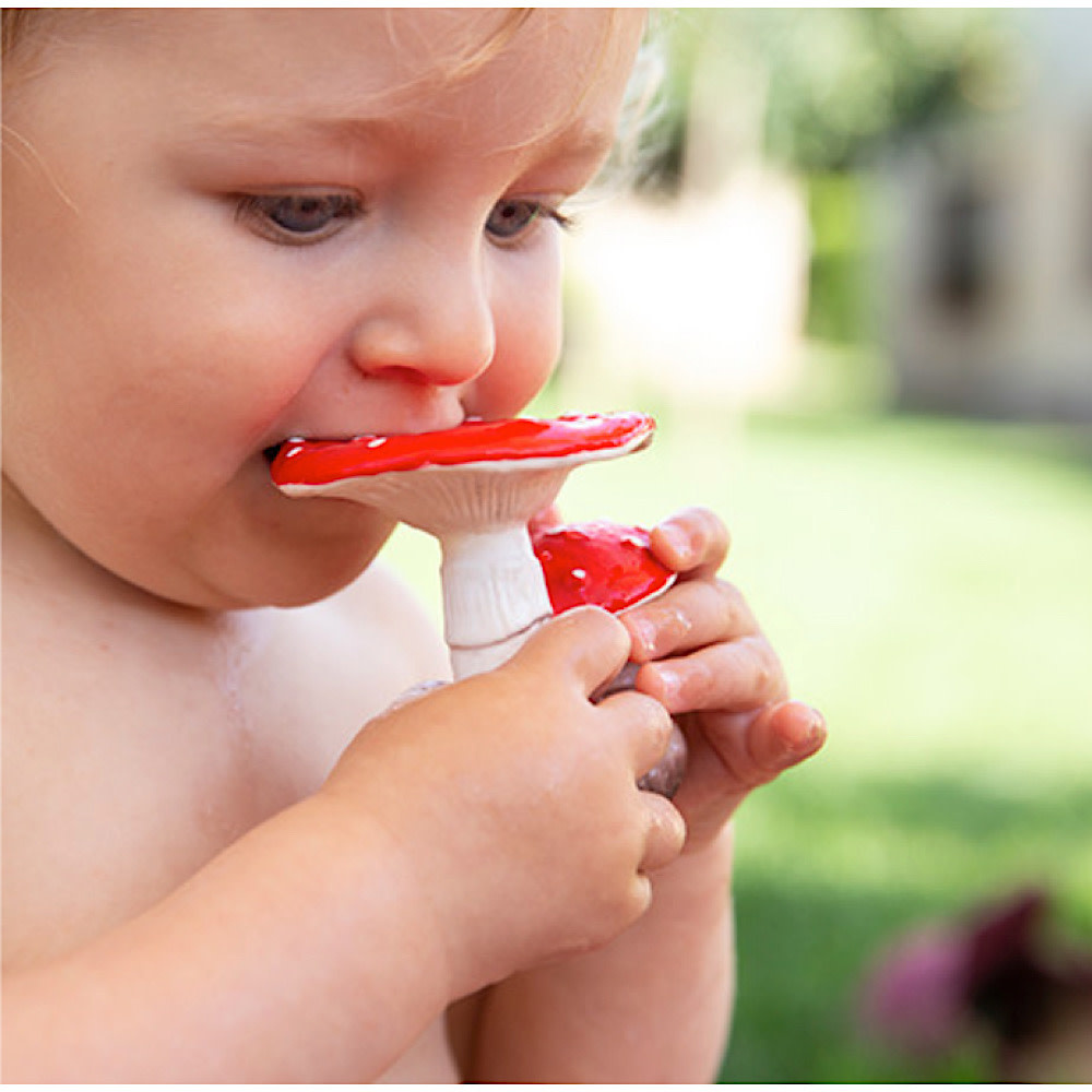 Oli & Carol - Spot the Mushroom Teether