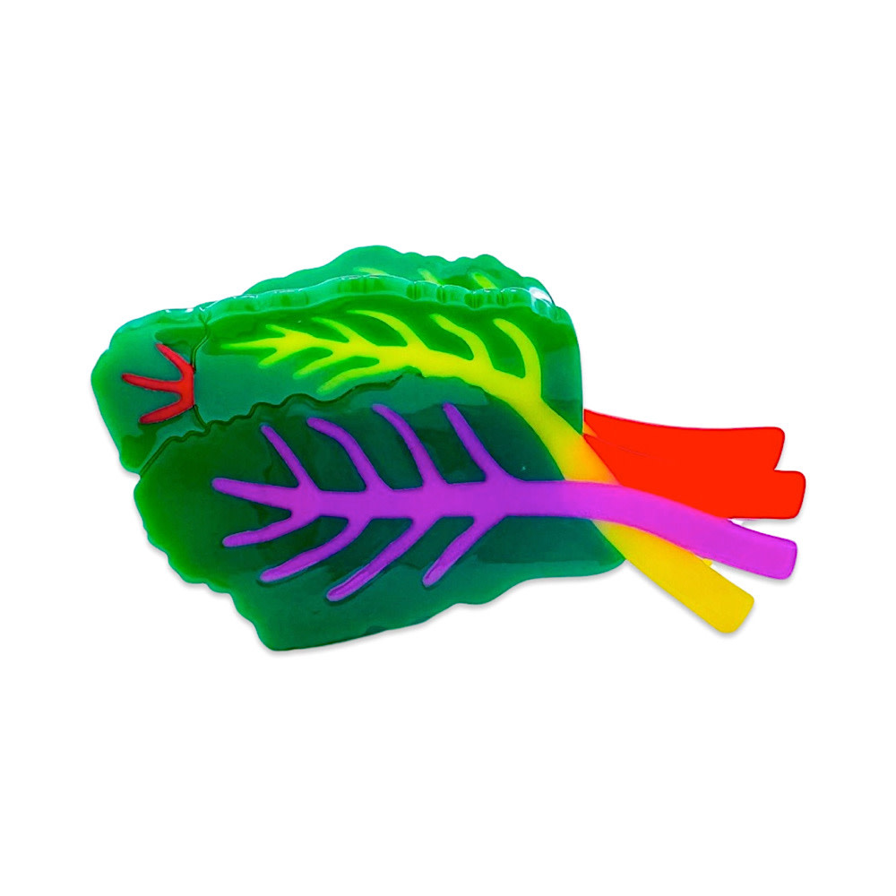 Large Claw Clip - Rainbow Chard