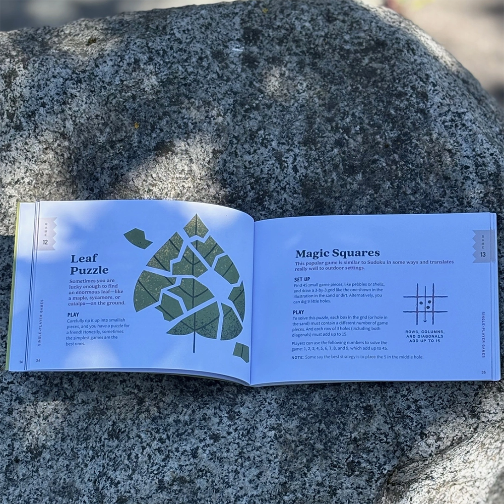 Sticks, Stones & Pinecones Paperback Book