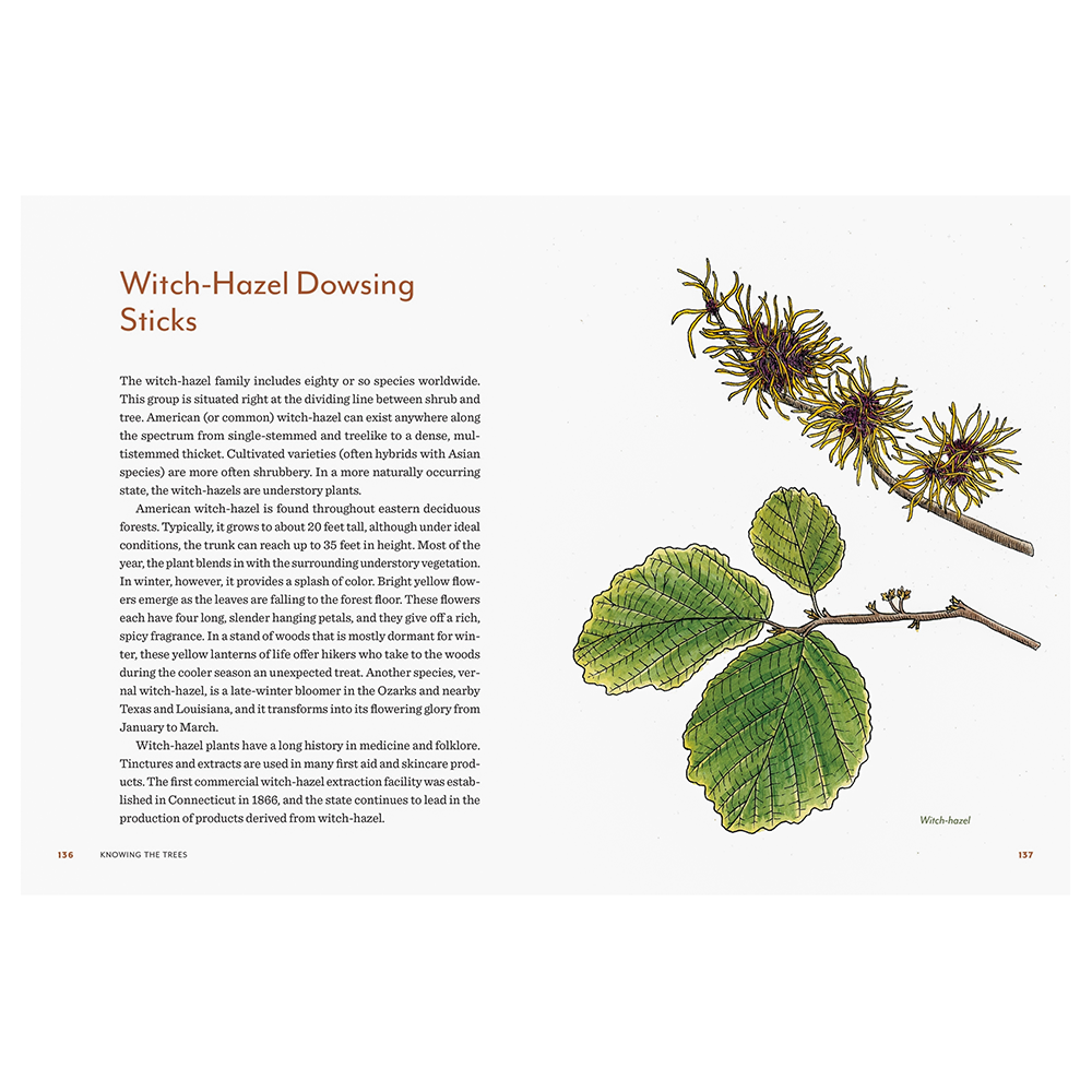 Knowing the Trees Hardcover Book