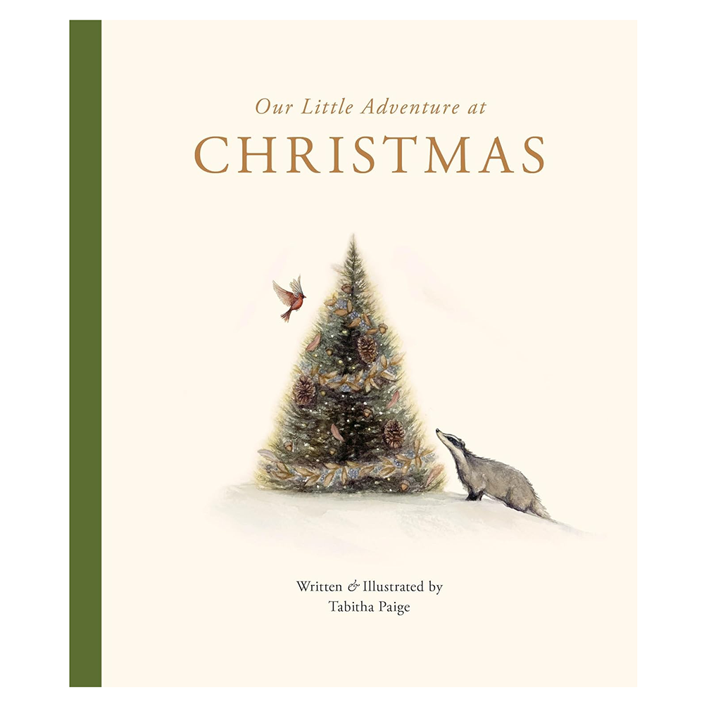 Our Little Adventure At Christmas Board Book