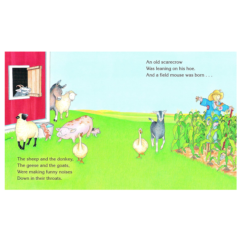 The Big Red Barn Board Book