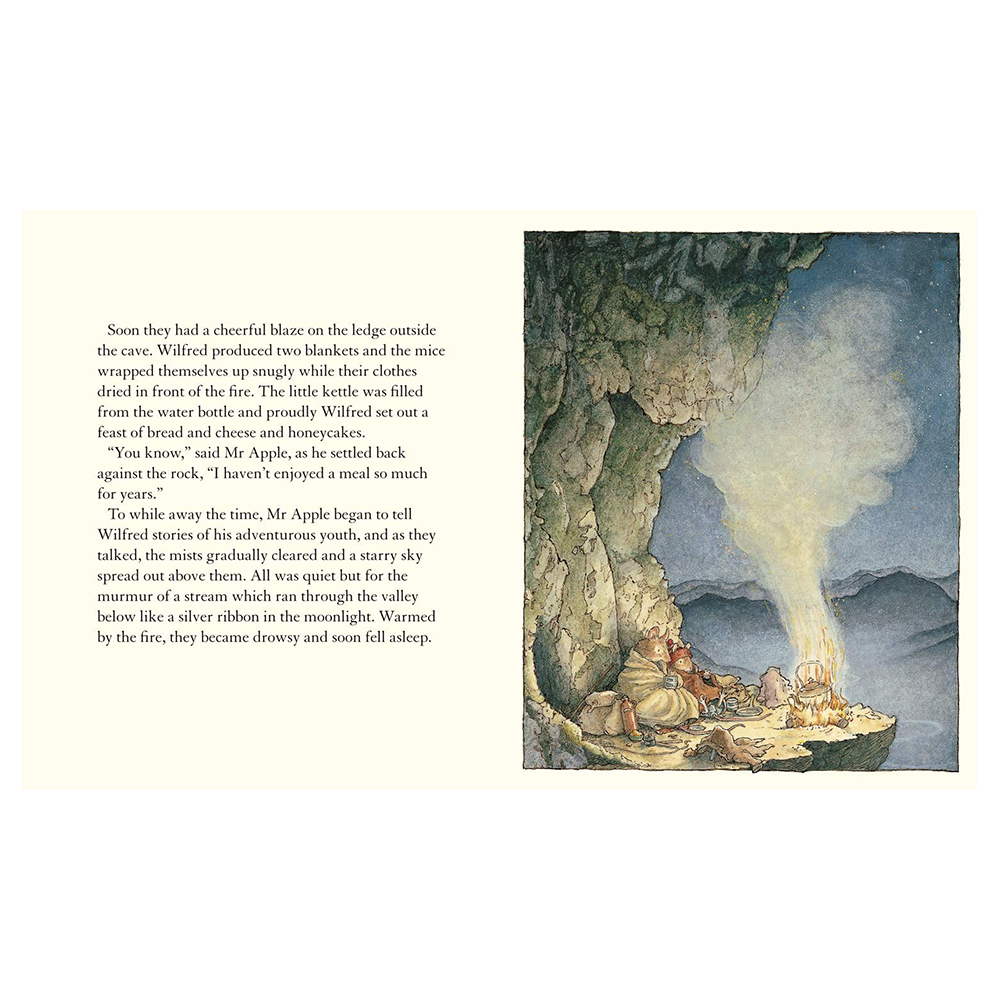 Adventures in Brambly Hedge Box Set of 4 Hardcover Books