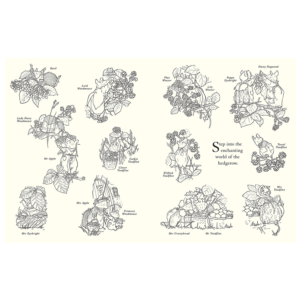 Brambly Hedge: Festive Coloring Book