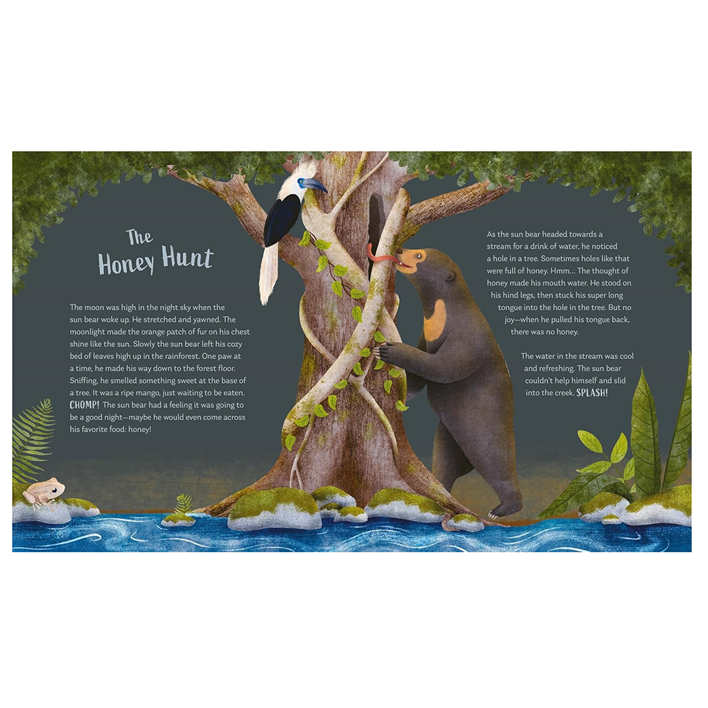 Secrets of the Forest Hardcover Book