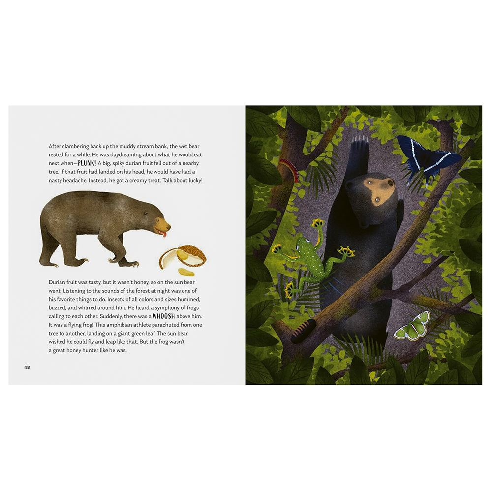 Secrets of the Forest Hardcover Book