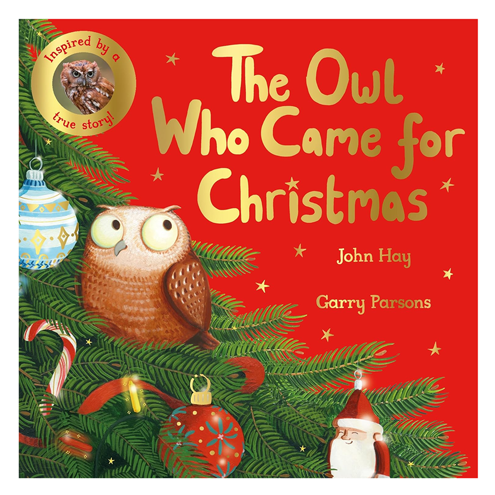 Macmillan The Owl Who Came For Christmas Paperback Book