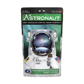 Grandpa Joe's Astronaut Mint Chocolate Chip Ice Cream Sandwich