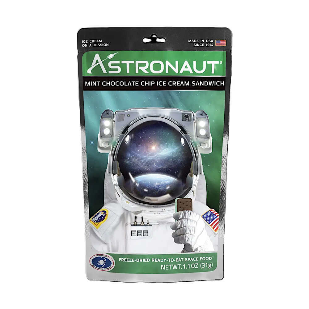 Astronaut Mint Chocolate Chip Ice Cream Sandwich