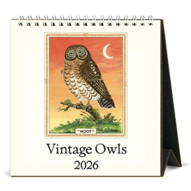 Cavallini Papers & Co., Inc. Cavallini 2026 Desk Calendar - Owls