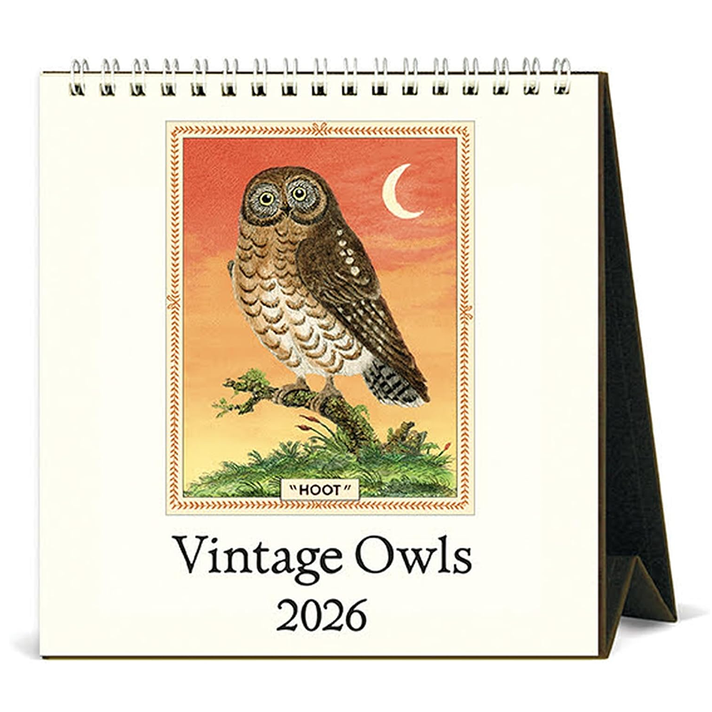 Cavallini Papers & Co., Inc. Cavallini 2026 Desk Calendar - Owls