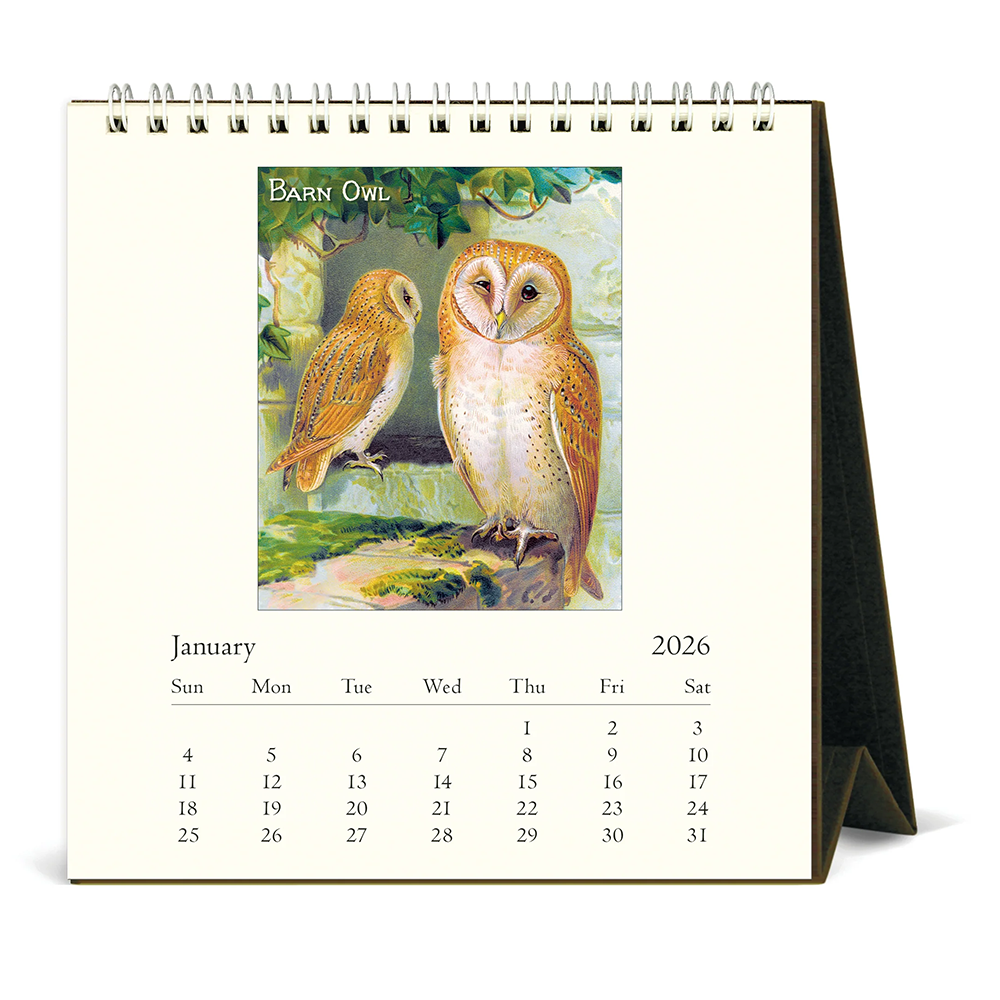 Cavallini 2026 Desk Calendar - Owls