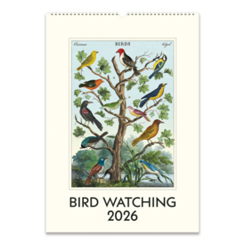 Cavallini Papers & Co., Inc. Cavallini 2026 Wall Calendar - Bird Watching