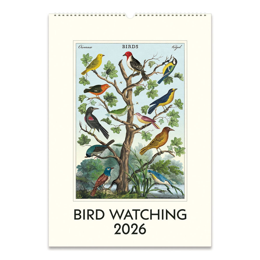 Cavallini 2026 Wall Calendar - Bird Watching
