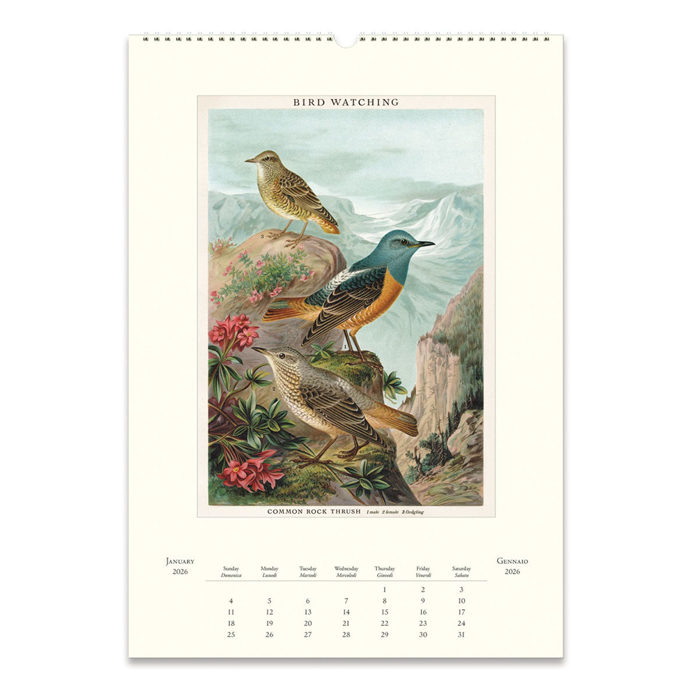 Cavallini 2026 Wall Calendar - Bird Watching