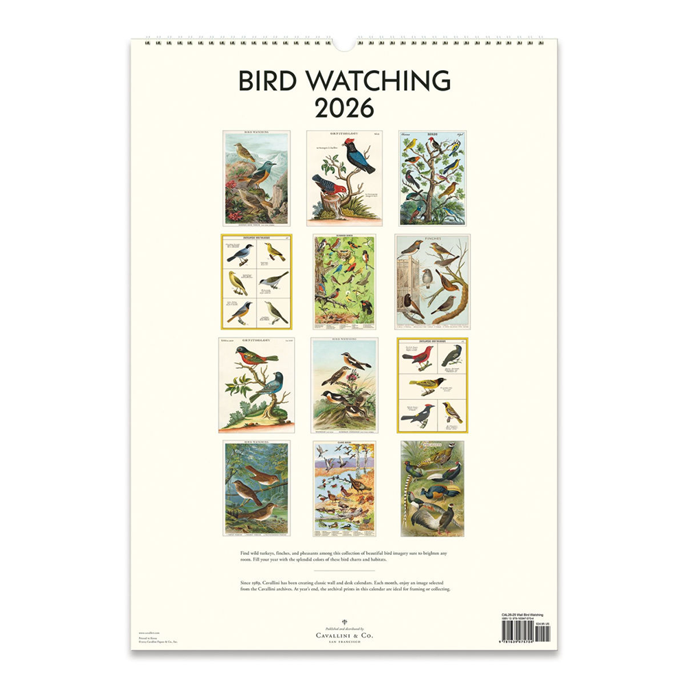 Cavallini 2026 Wall Calendar - Bird Watching