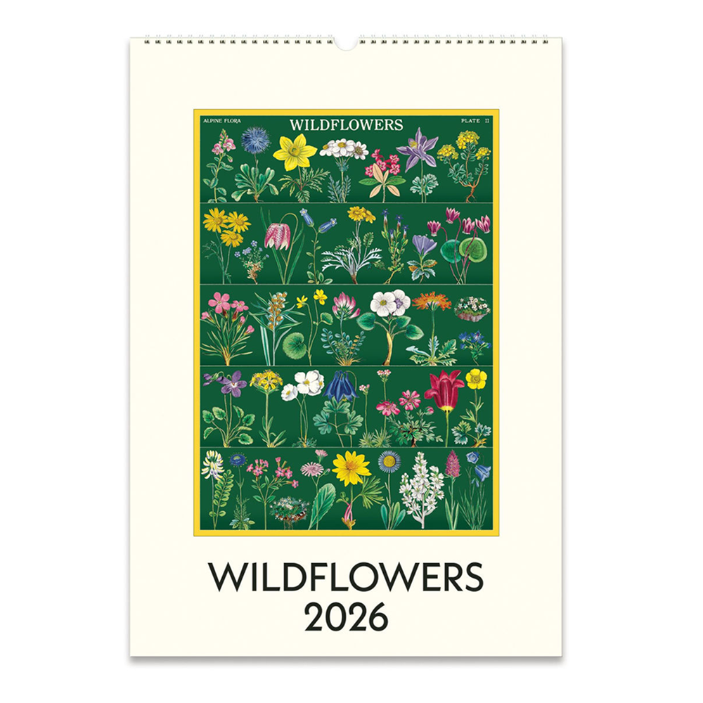Cavallini Papers & Co., Inc. Cavallini 2026 Wall Calendar - Wildflowers