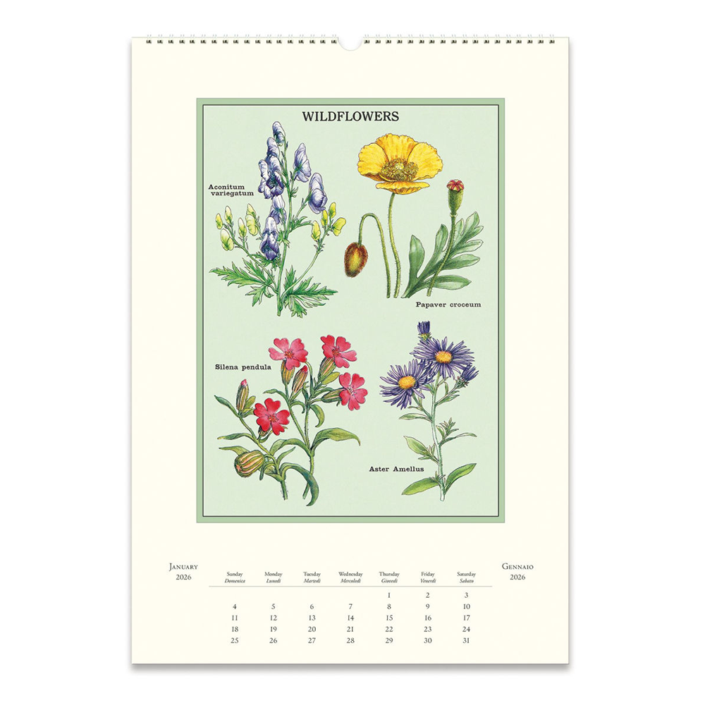 Cavallini 2026 Wall Calendar - Wildflowers