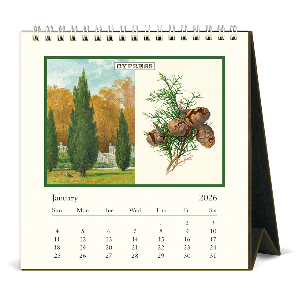 Cavallini 2026 Desk Calendar - Arboretum