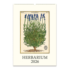 Cavallini Papers & Co., Inc. Cavallini 2026 Wall Calendar - Herbarium