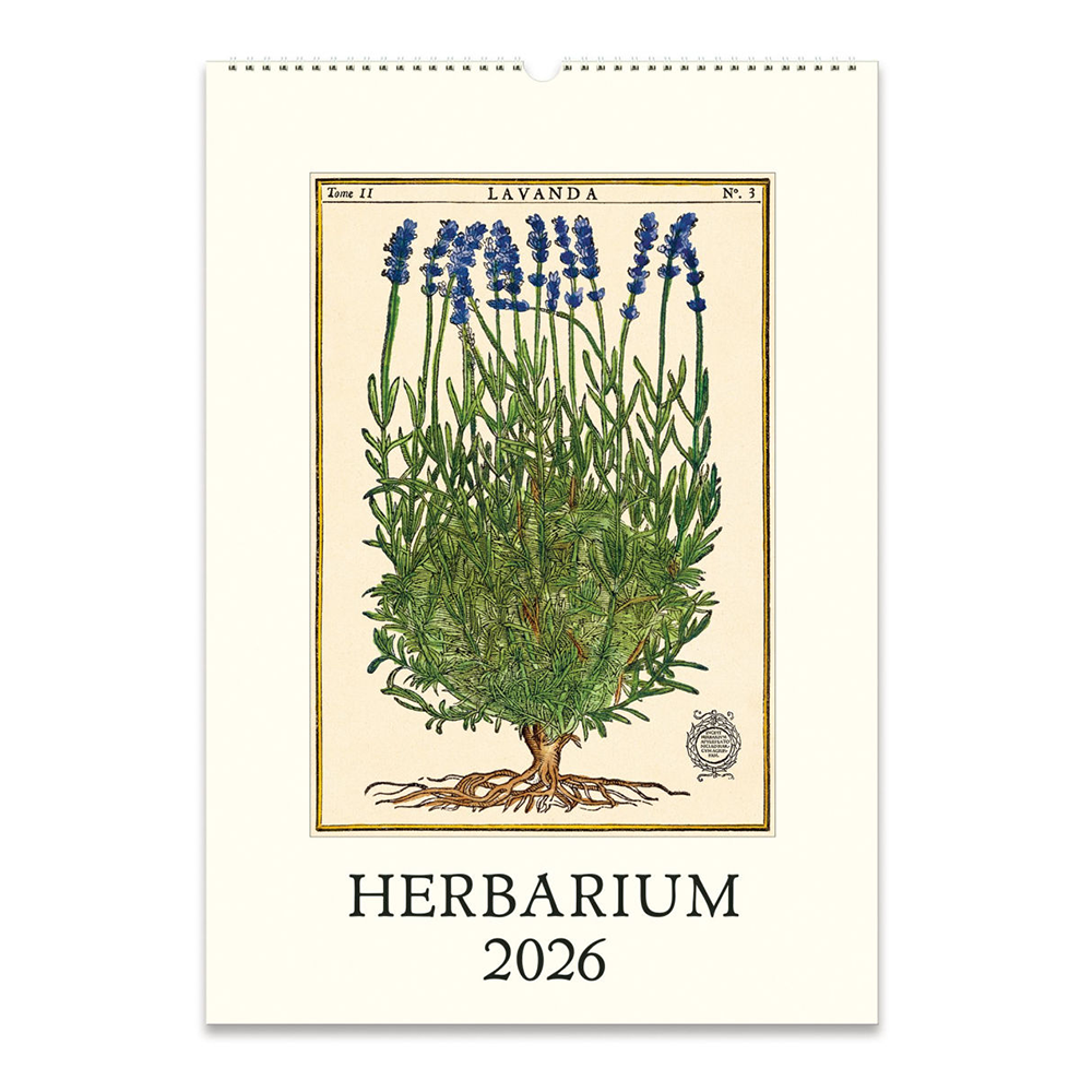 Cavallini Papers & Co., Inc. Cavallini 2026 Wall Calendar - Herbarium