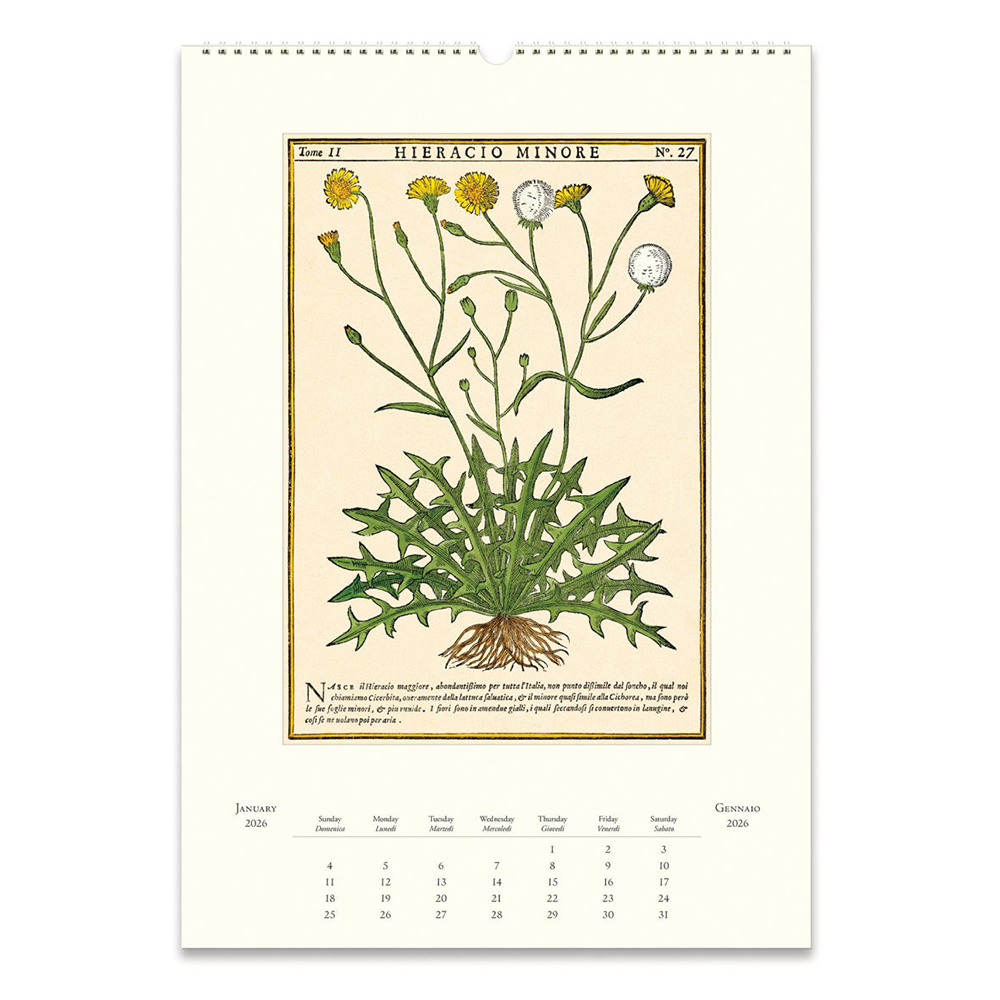 Cavallini 2026 Wall Calendar - Herbarium
