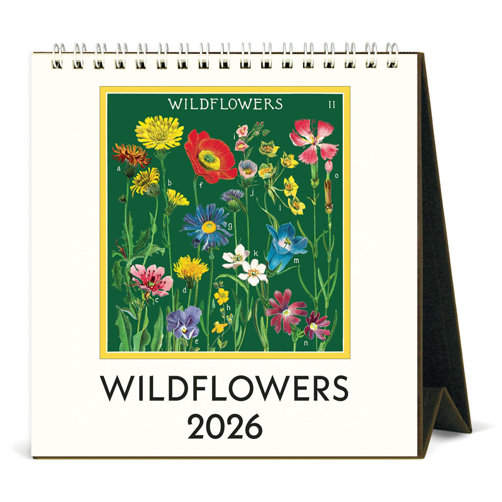 Cavallini 2026 Desk Calendar - Wildflowers