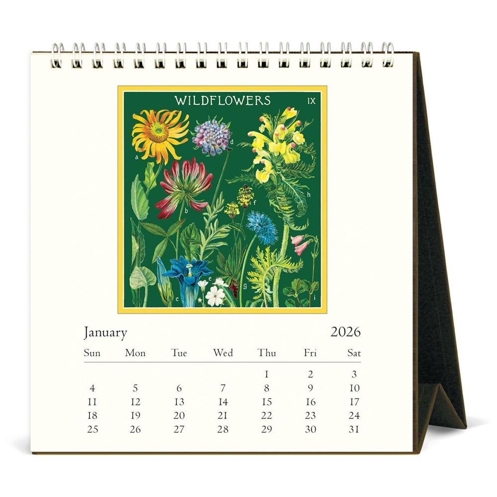 Cavallini 2026 Desk Calendar - Wildflowers