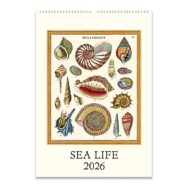 Cavallini Papers & Co., Inc. Cavallini 2026 Wall Calendar - Sea Life