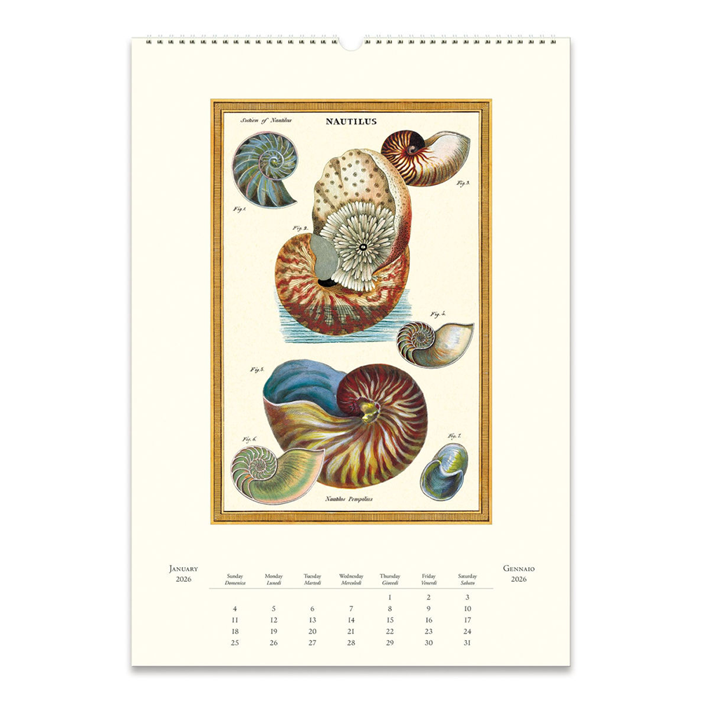 Cavallini 2026 Wall Calendar - Sea Life