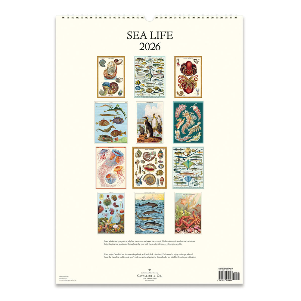 Cavallini 2026 Wall Calendar - Sea Life