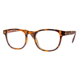 AJ Morgan Humble Pie Readers  - Tortoise