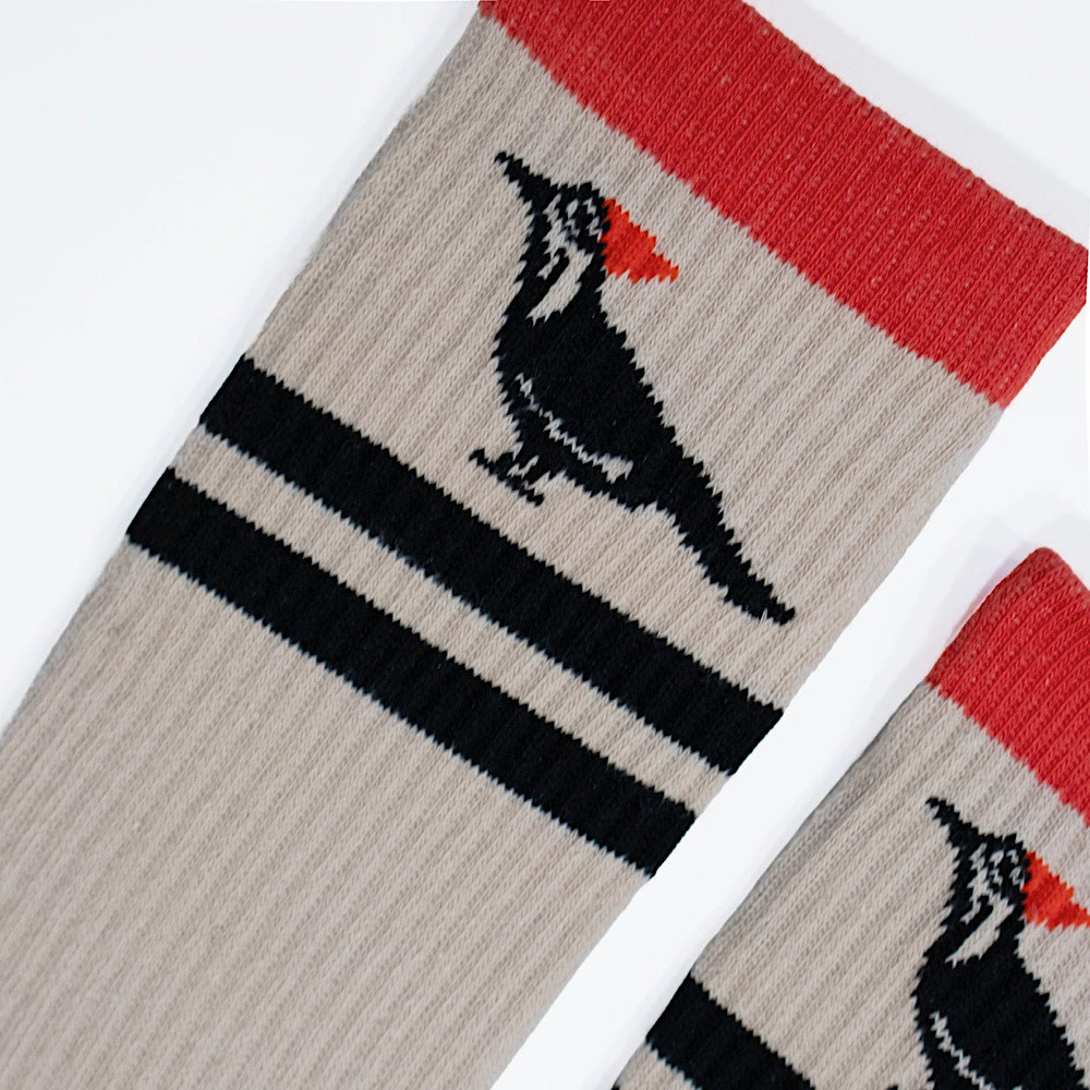 Bird Collective Socks - Pileated Woodpecker