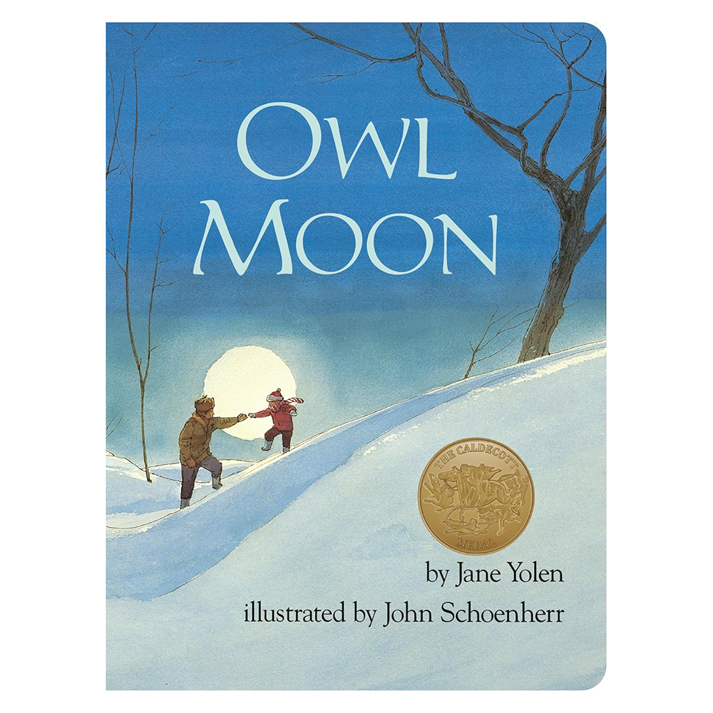 Owl Moon Board Book