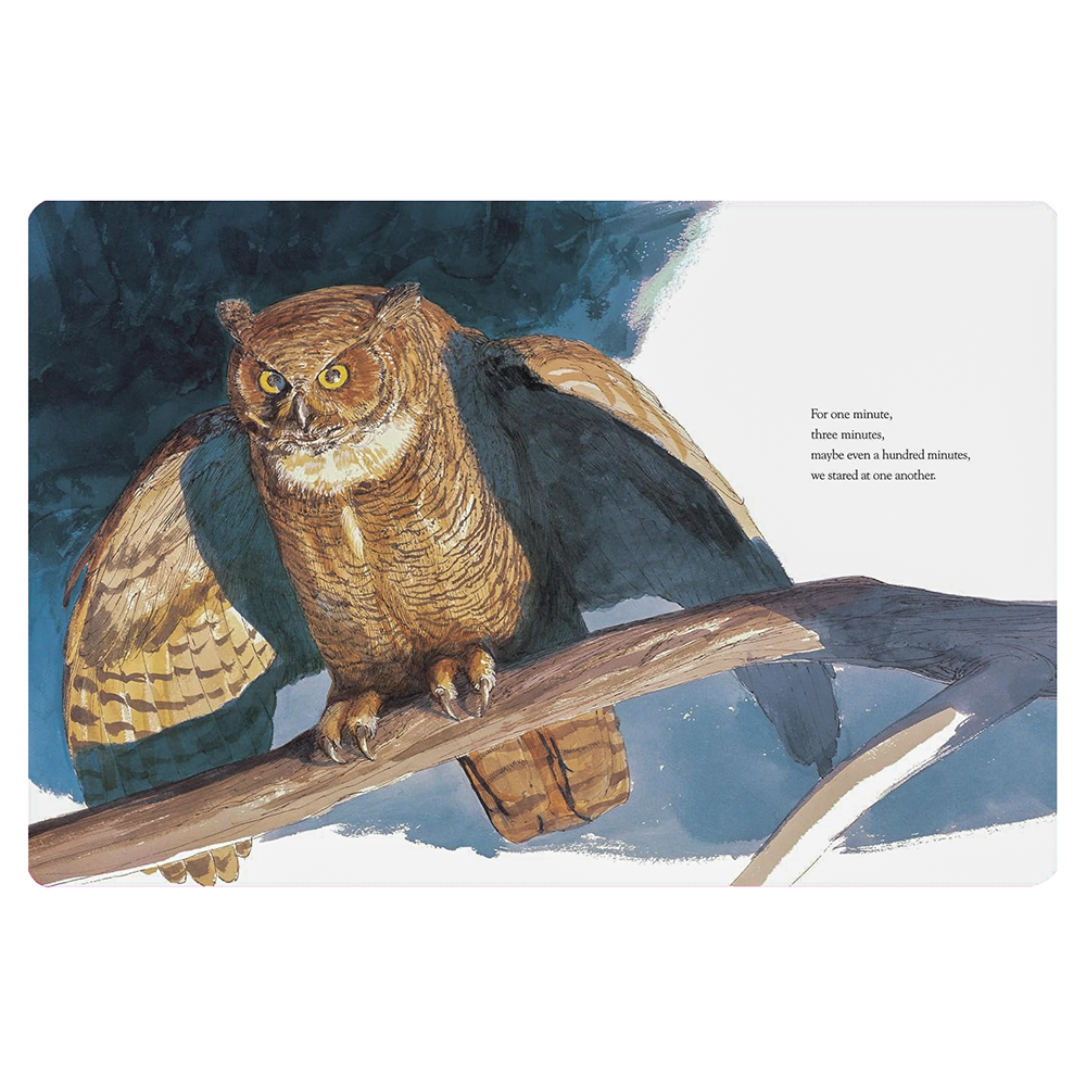 Owl Moon Board Book