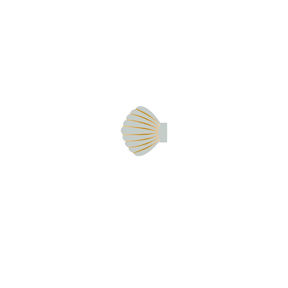 Rylee + Cru Shell Clip Set - Seafoam/Natural