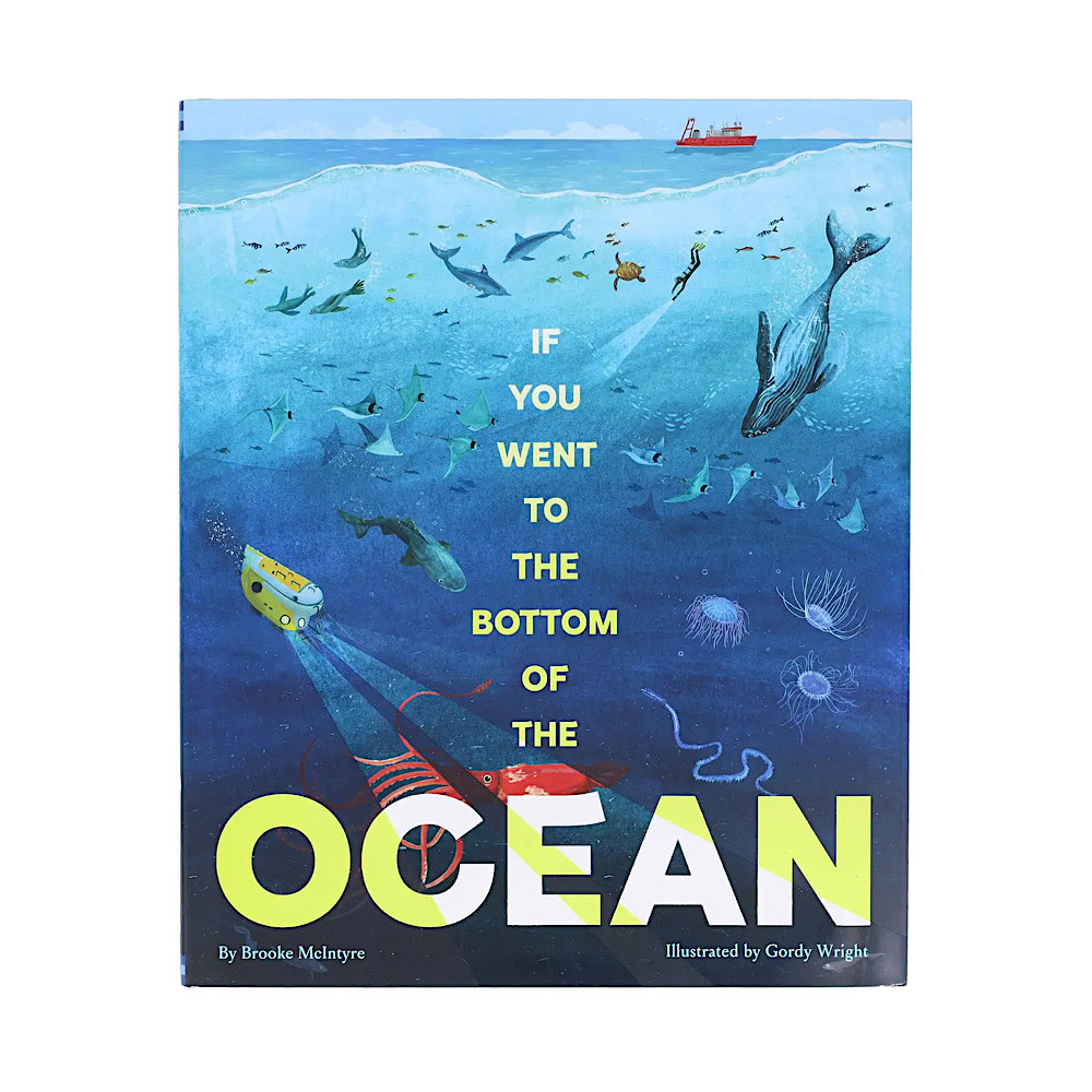 If You Went To the Bottom of the Ocean Hardcover Book