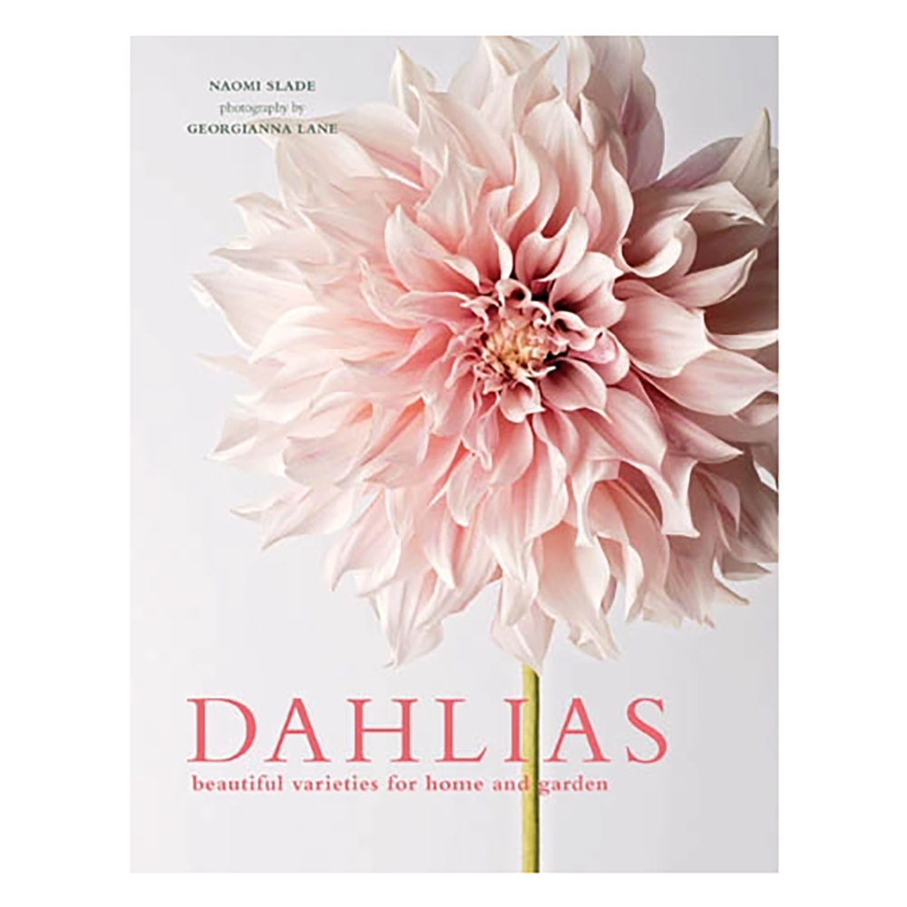 Gibbs Smith Dahlias Beautiful Varieties For Home & Garden