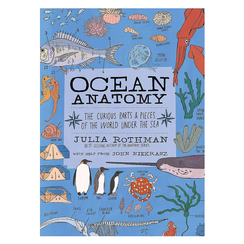 Hachette Ocean Anatomy Paperback Book