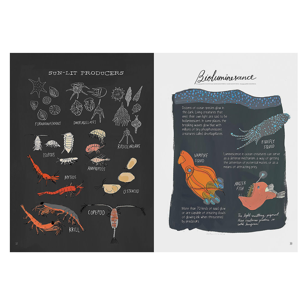 Ocean Anatomy Paperback Book