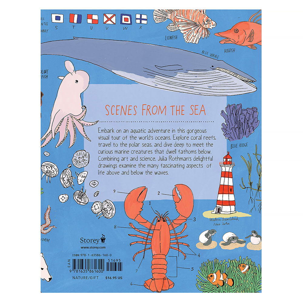 Ocean Anatomy Paperback Book