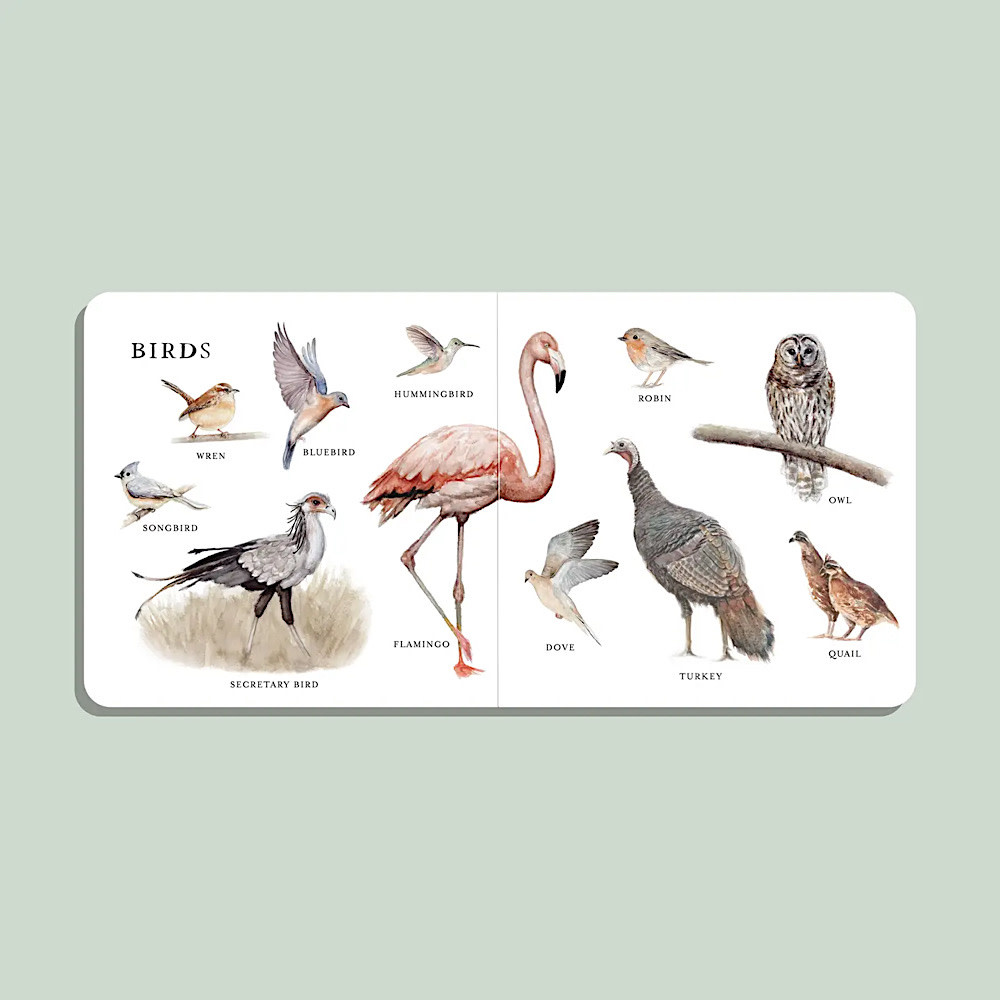 Our Big Book of  Animals Board Book