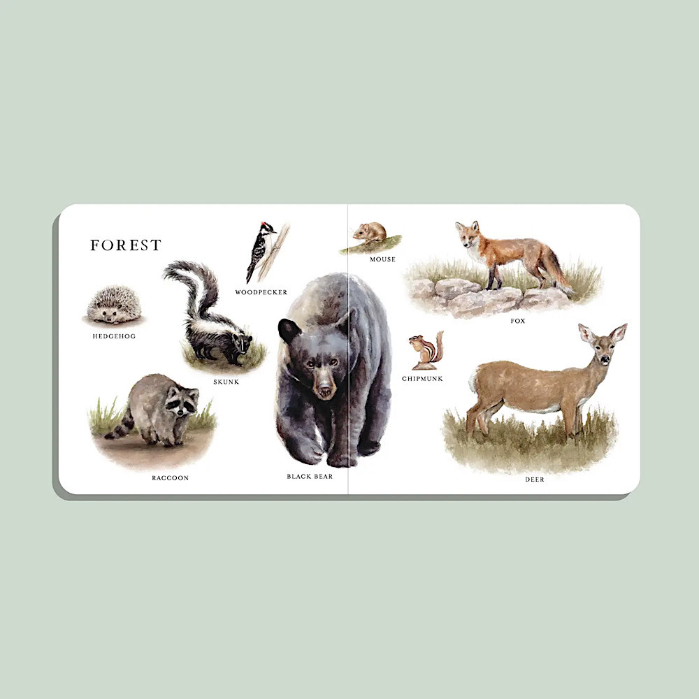 Our Big Book of  Animals Board Book