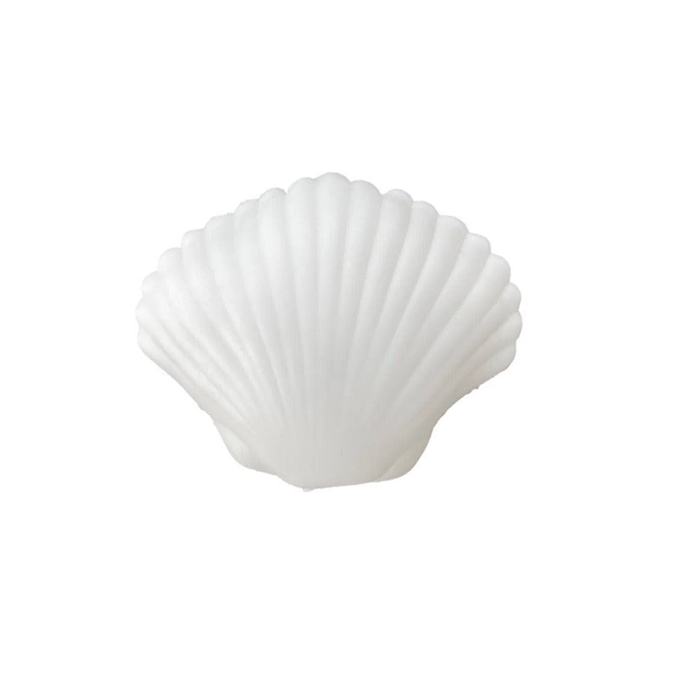 Daydream Society Seaside Clamshell Squishy