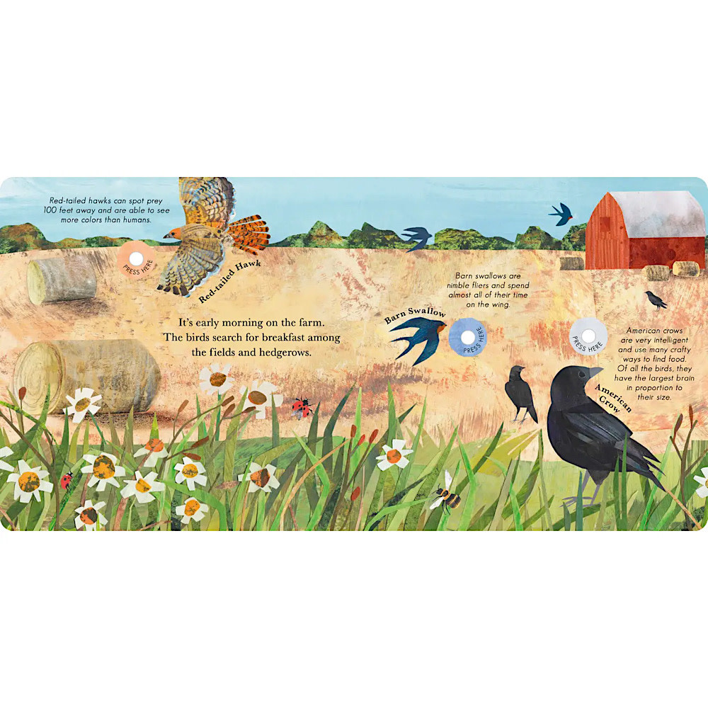 Songs of the Birds Hardcover Book